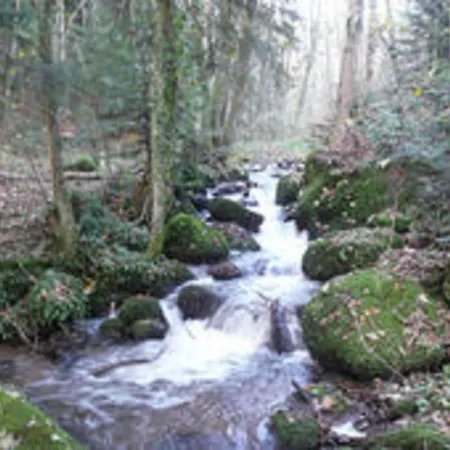Appartement Luscious In Rickenbach With Free Wifi Rickenbach (Baden-Wurttemberg)
